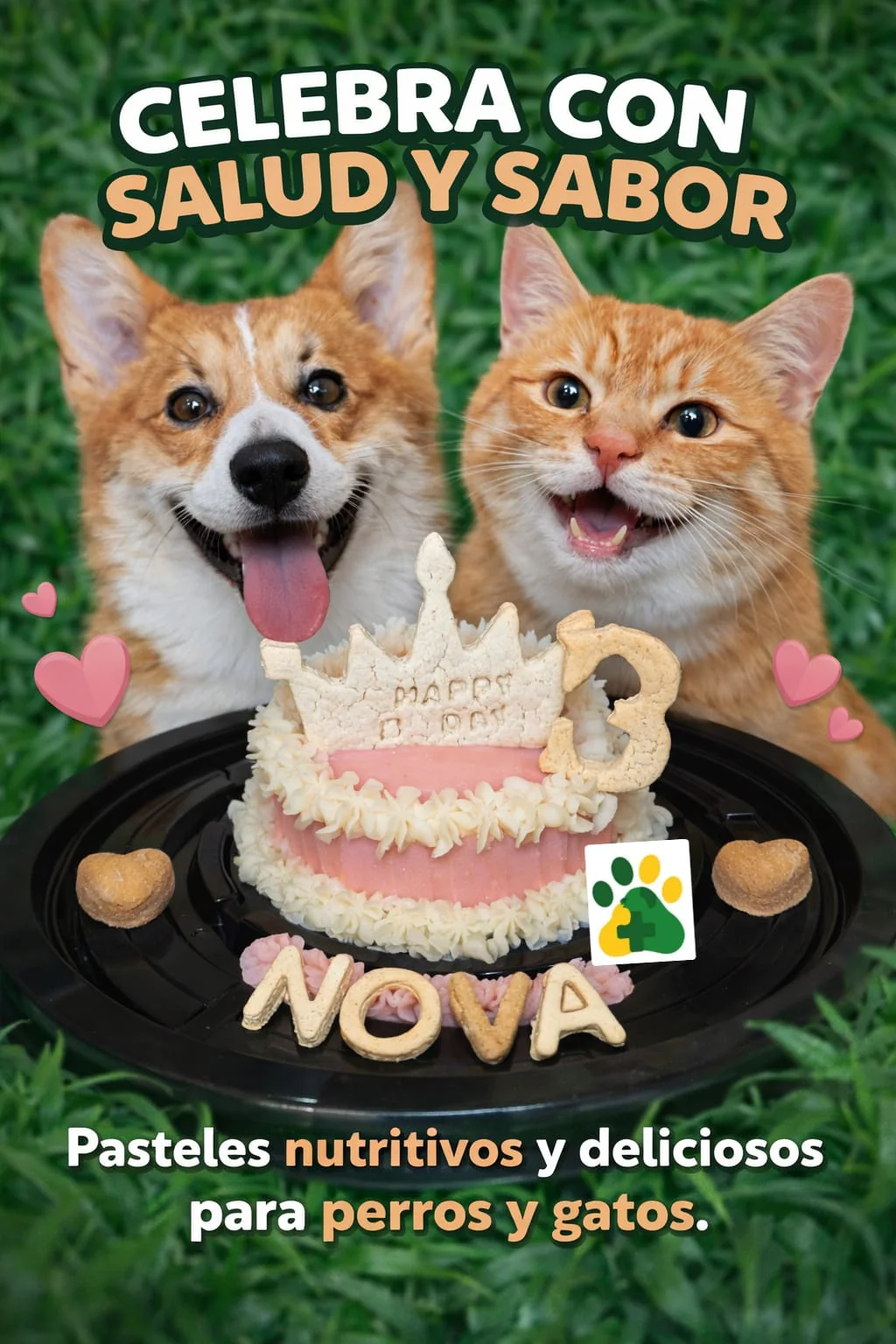 Perrito y gatito junto a un pastel nutritivo personalizado de +COTAS